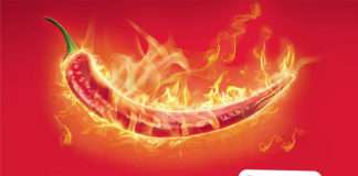 రేడియో మిర్చి US లో కార్యకలాపాలు ప్రారంభించింది-audiencereports.com Radio Mirchi audiencereports.com