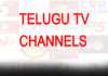 రెవెన్యూ లోటుతో ఇబ్బంది పడుతున్న తెలుగు చిన్న ఛానల్స్-audiencereports.com Telugu TV Channels audiencereports.com