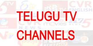 రెవెన్యూ లోటుతో ఇబ్బంది పడుతున్న తెలుగు చిన్న ఛానల్స్-audiencereports.com Telugu TV Channels audiencereports.com