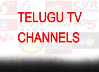 రెవెన్యూ లోటుతో ఇబ్బంది పడుతున్న తెలుగు చిన్న ఛానల్స్-audiencereports.com Telugu TV Channels audiencereports.com