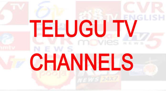 రెవెన్యూ లోటుతో ఇబ్బంది పడుతున్న తెలుగు చిన్న ఛానల్స్-audiencereports.com Telugu TV Channels audiencereports.com