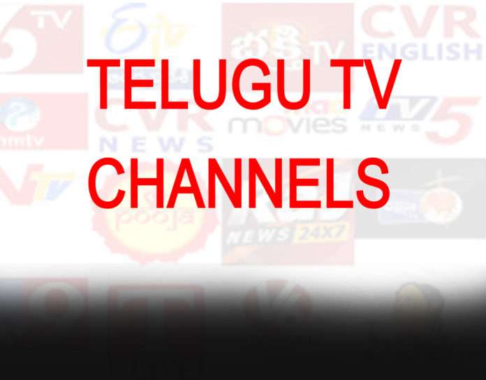 Telugu TV Channels audiencereports.com