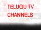 రెవెన్యూ లోటుతో ఇబ్బంది పడుతున్న తెలుగు చిన్న ఛానల్స్-audiencereports.com Telugu TV Channels audiencereports.com