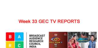 Week 33లోనూ BIGG BOSS3 రాని రేటింగ్స్ – Week 33 TV Reports BARCIndia Week33 Top Advertisers - www.adiencereports.com