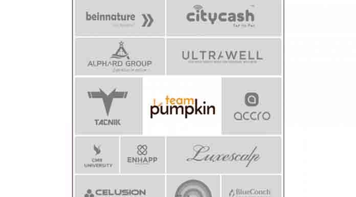 Team Pumpkin bags 12 new mandates from across the world amidst COVID-19 lockdown Digital Agency Team Pumpkin bags 12 new mandates from across the world amidst COVID-19 lockdown