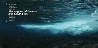 Ogilvy & UNEP release a campaign on World Environment Day 2020 Ogilvy & UNEP World Environment Day