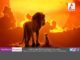 Asianet to telecast international television premiere of ‘The Lion King’ on 26th July Asianet to telecast international television premiere of 'The Lion King' on 26th July