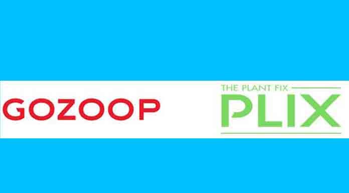 Gozoop wins PR and Digital mandate for Plix Gozoop wins PR and Digital mandate for Plix
