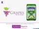Daawat Basmati Rice Awards the Digital Mandate to Grapes Digital Daawat Basmati Rice Awards the Digital Mandate to Grapes Digital