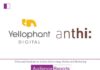 Yellophant Digital Wins Digital Marketing Mandate For anthi Yellophant Digital Wins Digital Marketing Mandate For anthi