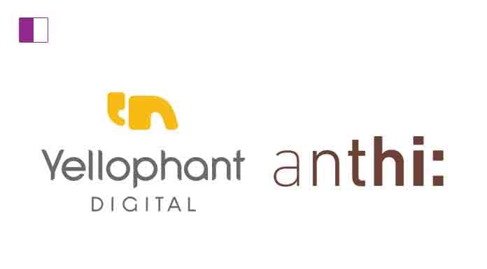 Yellophant Digital Wins Digital Marketing Mandate For anthi Yellophant Digital Wins Digital Marketing Mandate For anthi