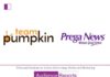 Prega News awards digital marketing mandate to Team Pumpkin Prega News awards digital marketing mandate to Team Pumpkin