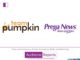 Prega News awards digital marketing mandate to Team Pumpkin Prega News awards digital marketing mandate to Team Pumpkin