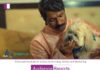 Wiggles makes pets a part of Diwali celebrations with its #TrueBurstOfHappiness Campaign Wiggles makes pets a part of Diwali celebrations with its #TrueBurstOfHappiness Campaign