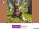 Reena Kapoor’s unexpected Holi on Ranju Ki Betiyaan Reena Kapoor's unexpected Holi on Ranju Ki Betiyaan