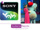 Sony YAY! Emphasizes Engaging Activities and Merchandise to Enhance Brand Recognition sony-yay-emphasizes-engaging
