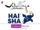 “Revolutionizing Haisha Paints: Pidilite’s Sideways Bags Creative Mandate” pidilite's-sideways-bags-creative-mandate