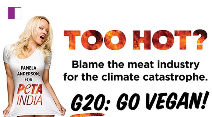 Authorities Take Down PETA India’s ‘Too Hot’ Pamela Anderson Billboard Aimed at G20 Leaders Authorities Take Down PETA India's 'Too Hot' Pamela Anderson Billboard Aimed at G20 Leaders