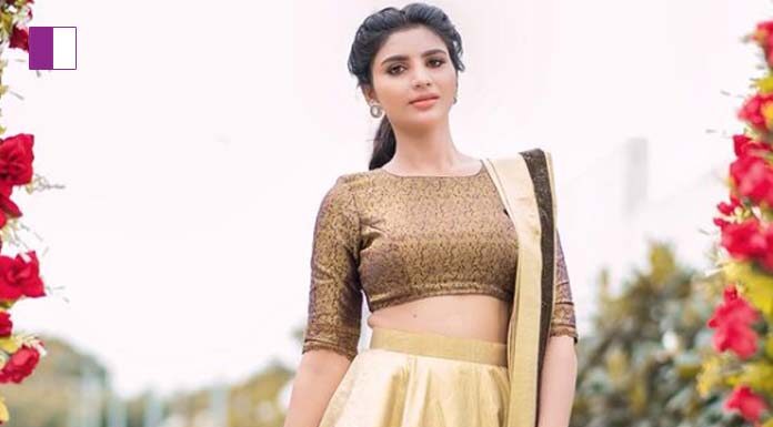 Varsha Celebrates Ganesh Chaturthi: A Glimpse into the Life of the Telugu Actress and Anchor glimpse-into-the-life-of-the-telugu-actress-and-anchor