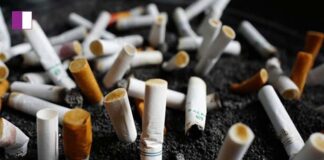 High Court Rejects Plea for Banning Graphic Anti-Tobacco Health Warnings in Cinema, TV, and OTT High Court Rejects Plea for Banning Graphic Anti-Tobacco Health Warnings in Cinema, TV, and OTT