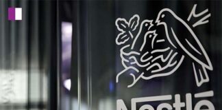 “Nestle India Reports Impressive Q3 Net Profit of Rs 908 Crore, Up by 37.28%” nestle