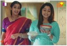 Godrej Jersey: A Symphony of Flavor and Visual Brilliance by Dream Merchants godrej-jersey-a-symphony-of-flavor