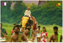 Swargaseema Sandalwood Farms Pvt Ltd: A Cinematic Ode by Dream Merchants swargaseema-sandalwood-farms