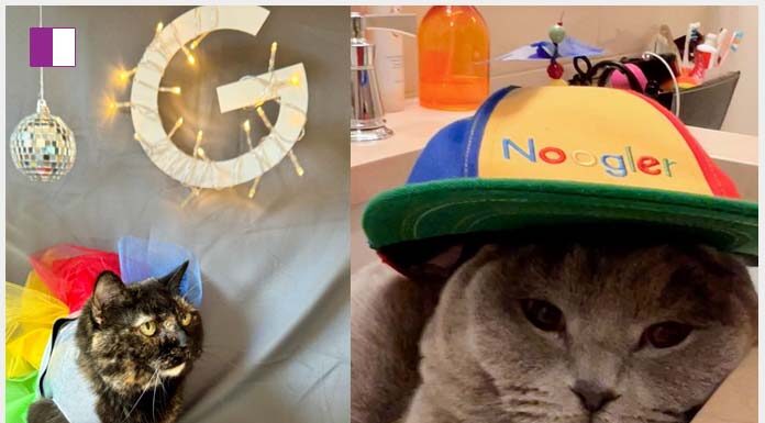 Google: Pawsitively Celebrating #MewYearForCats Day! google-pawsitively-celebrating