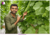 Santosh Jadhav: Championing Resilience and Innovation in Agriculture Santosh-Jadhav
