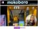 Ayushi Yadav: Spearheading Growth at Mokobara ayushi-yadav-spearheading