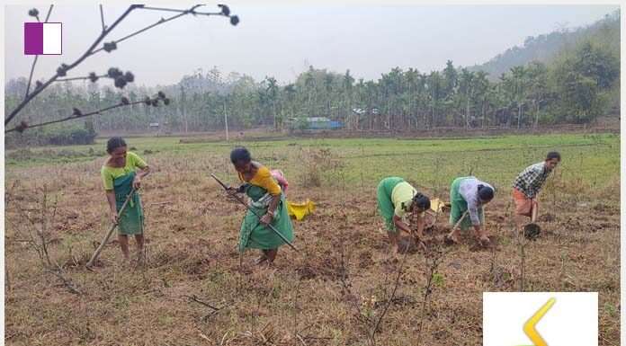 Grameen Sahara: Cultivating Sustainable Livelihoods One Spice at a Time grameen-sahara-cultivating