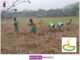 Grameen Sahara: Cultivating Sustainable Livelihoods One Spice at a Time grameen-sahara-cultivating