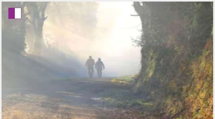 5 Vital Benefits of Morning Walks During Summer explained 5-vital-benefits-of-morning-walks