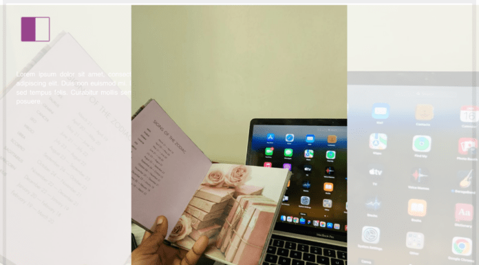 REGINA SALAMI: Transforming Lives Through the Power of Tiny Habits REGINA SALAMI: Transforming Lives Through the Power of Tiny Habits