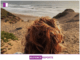 CHRISTY K SHEEHY BENSINGER Navigating Founder Burnout and Resilience CHRISTY K SHEEHY BENSINGER Navigating Founder Burnout and Resilience