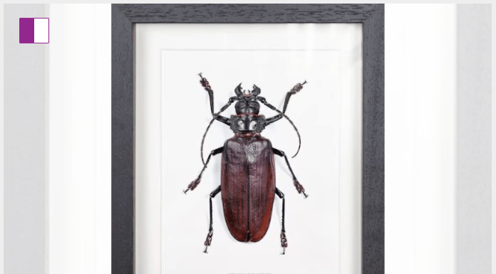 Brian DeFoe and the Pursuit of Joy in Everyday Life Brian DeFoe and the Pursuit of Joy in Everyday Life