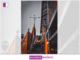 Olabowale Adetoye Embracing the Timing of Life Olabowale Adetoye Embracing the Timing of Life
