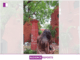 Anshika Singh The Power of Persistence in Entrepreneurship Anshika Singh The Power of Persistence in Entrepreneurship