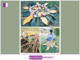 Ramkumar Soni and the Art of Connecting with Nature Through Mandalas Ramkumar Soni and the Art of Connecting with Nature Through Mandalas