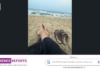 CA CPA Nivedha Shankar and the Quiet Reminder That Caring for Yourself Is Part of Helping Others CA CPA Nivedha Shankar