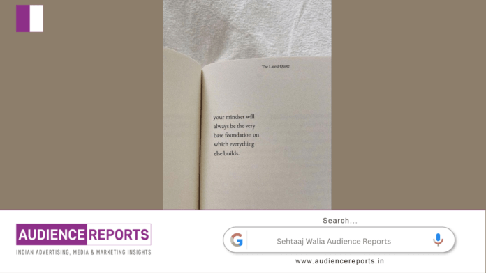 Sehtaaj Walia Audience Reports