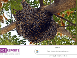Paul Deane: What Honey Bees Can Teach Us About Lean Leadership Paul Deane Audience Reports
