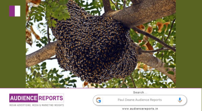 Paul Deane: What Honey Bees Can Teach Us About Lean Leadership Paul Deane Audience Reports